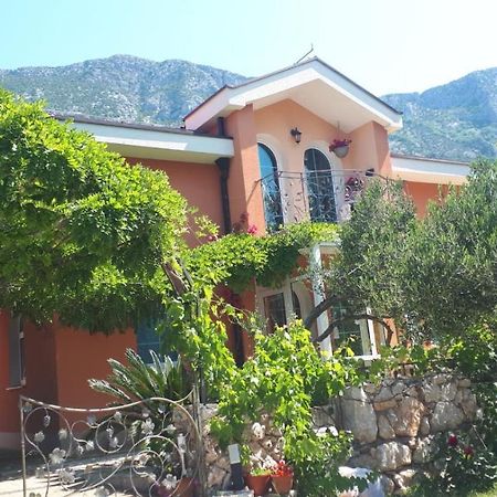 Ferienhaus Olive Tree Villa Gradac  Dış mekan fotoğraf