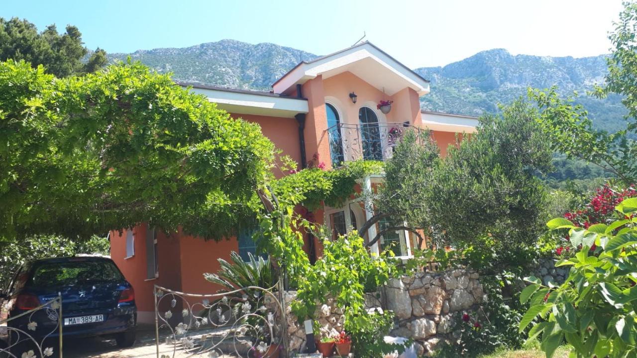 Ferienhaus Olive Tree Villa Gradac  Dış mekan fotoğraf