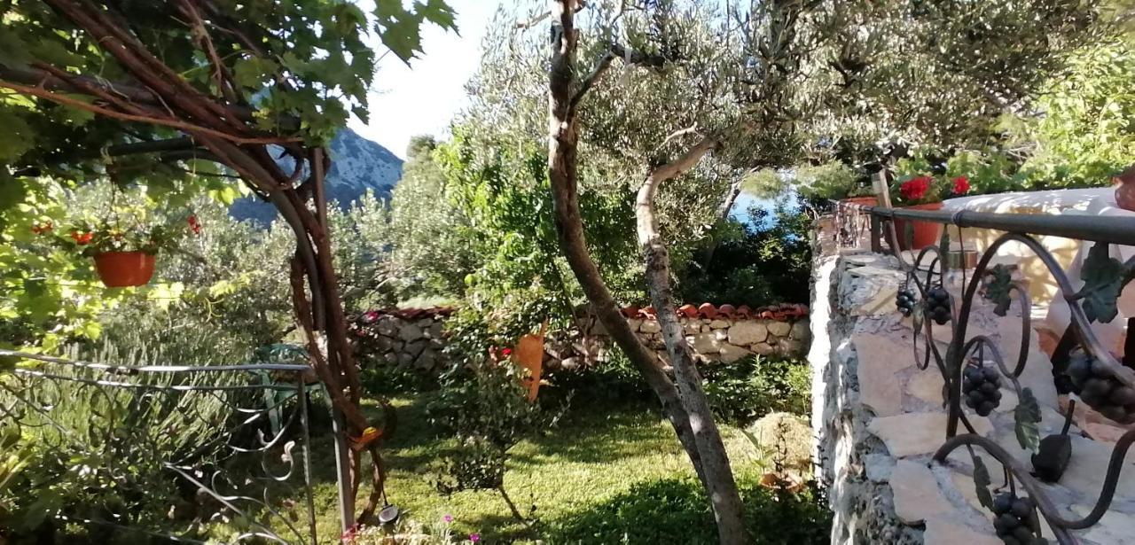 Ferienhaus Olive Tree Villa Gradac  Dış mekan fotoğraf