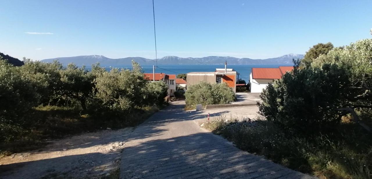 Ferienhaus Olive Tree Villa Gradac  Dış mekan fotoğraf