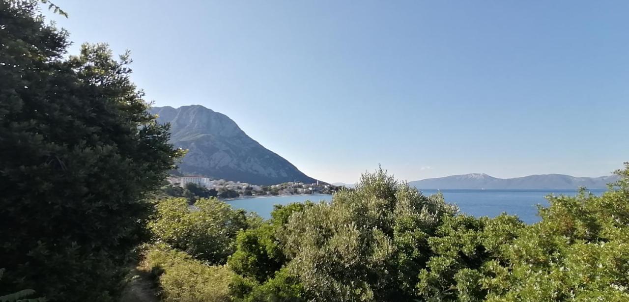 Ferienhaus Olive Tree Villa Gradac  Dış mekan fotoğraf