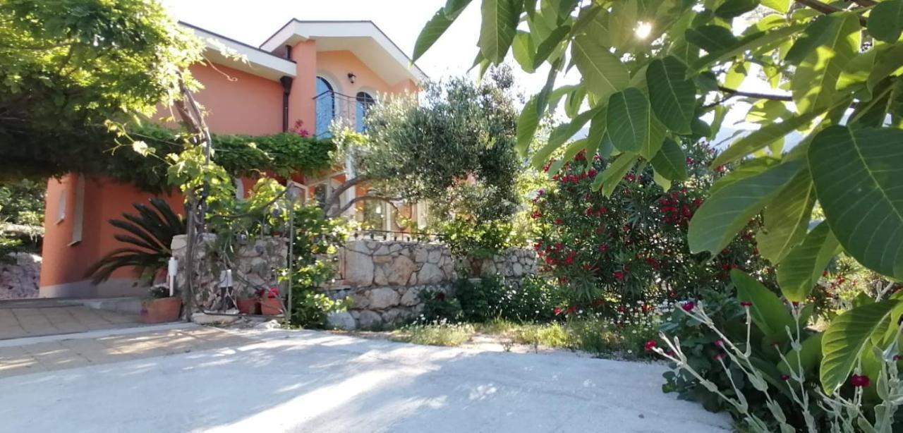 Ferienhaus Olive Tree Villa Gradac  Dış mekan fotoğraf