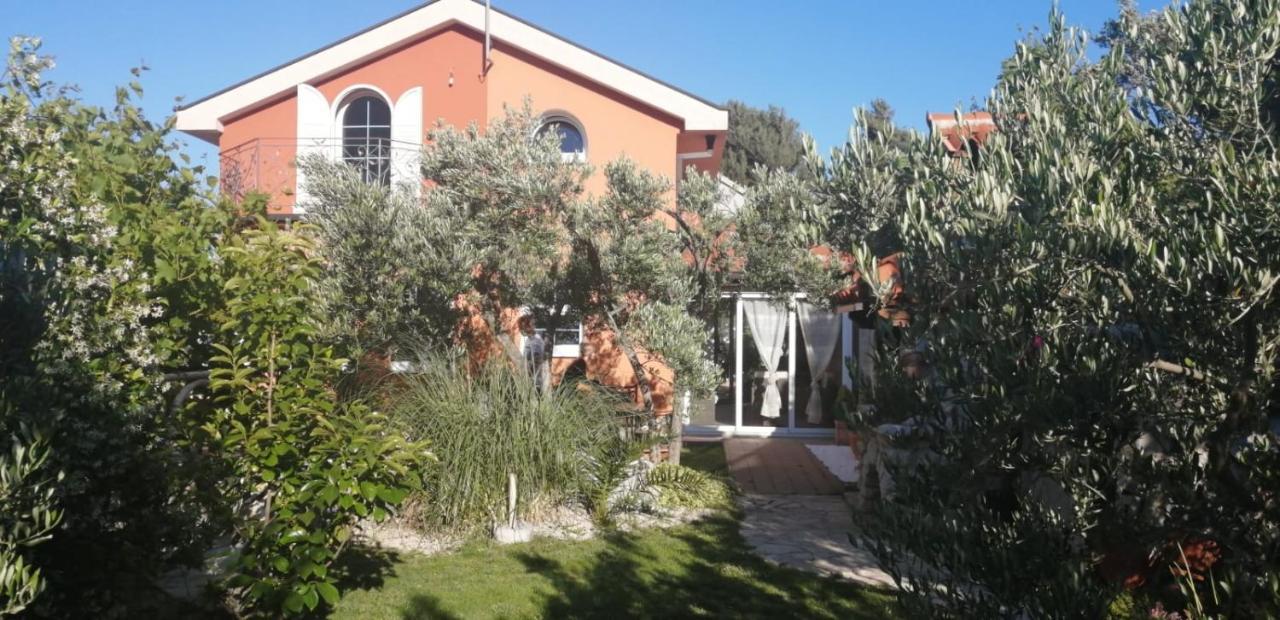 Ferienhaus Olive Tree Villa Gradac  Dış mekan fotoğraf