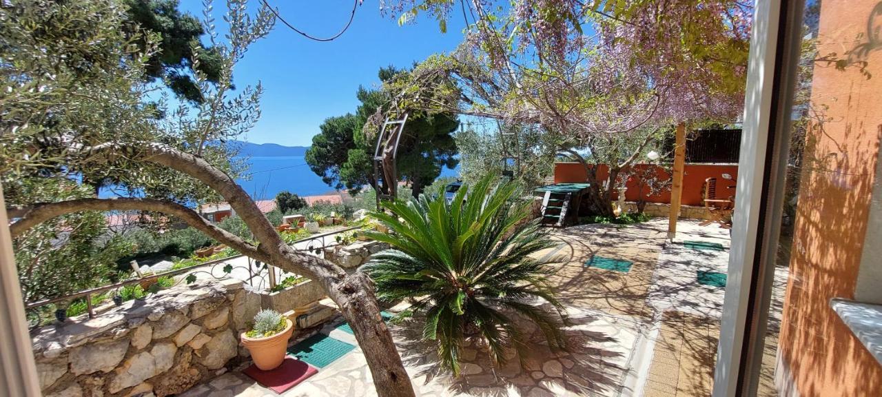 Ferienhaus Olive Tree Villa Gradac  Dış mekan fotoğraf