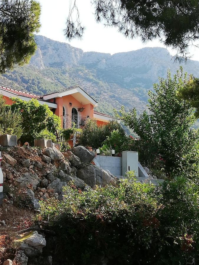 Ferienhaus Olive Tree Villa Gradac  Dış mekan fotoğraf