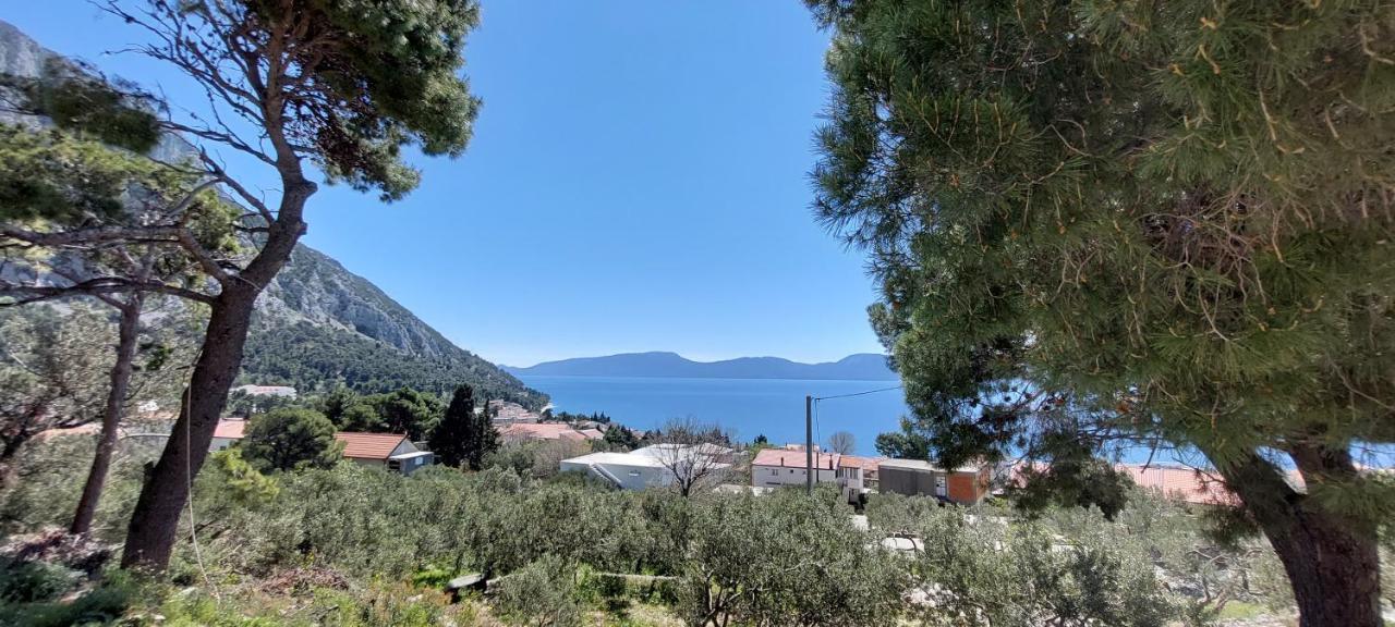 Ferienhaus Olive Tree Villa Gradac  Dış mekan fotoğraf