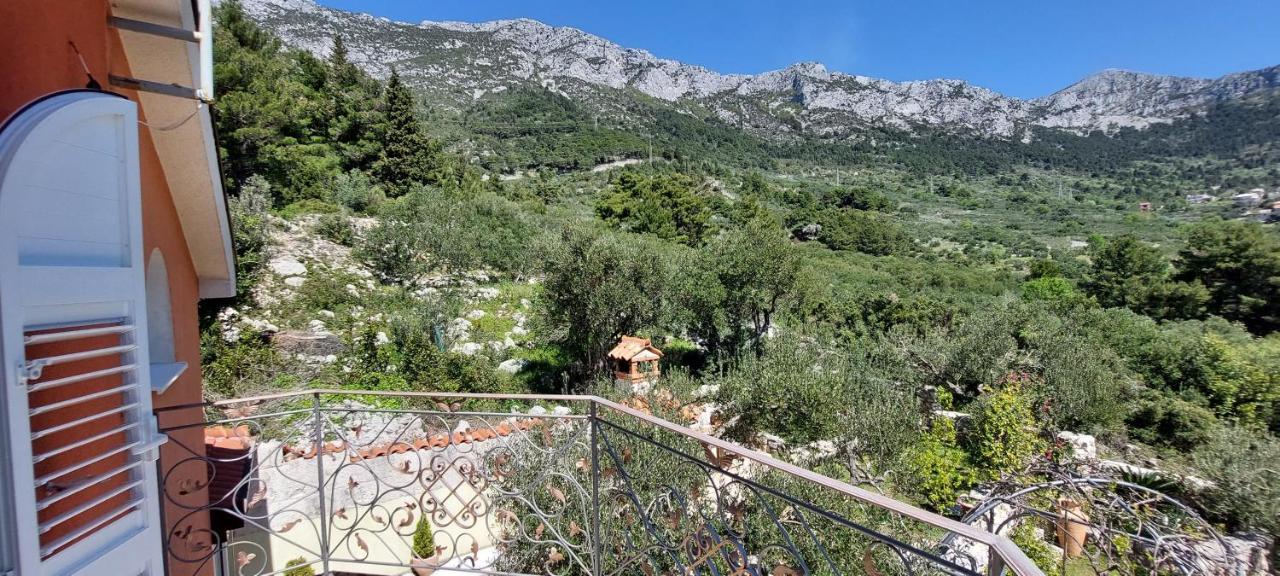 Ferienhaus Olive Tree Villa Gradac  Dış mekan fotoğraf