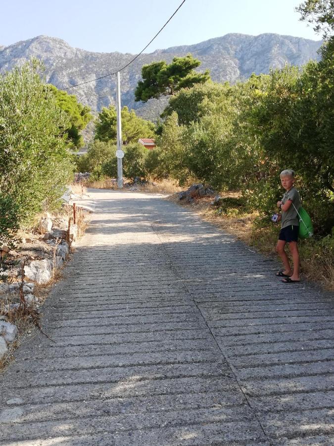 Ferienhaus Olive Tree Villa Gradac  Dış mekan fotoğraf